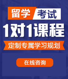 操逼网站操逼网站留学考试一对一精品课